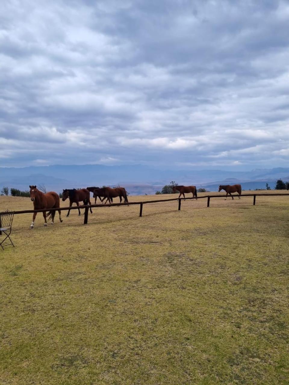 Penzion Drakensberg Mountain Retreat Bergville Exteriér fotografie